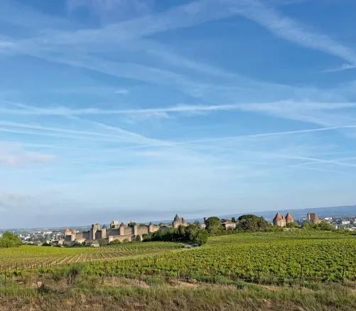 Die mittelalterliche Festungsstadt Carcassonne.